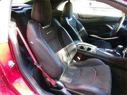 2023 Chevrolet Camaro ZL1 (CC-2120002) for sale in Palmer, Massachusetts
