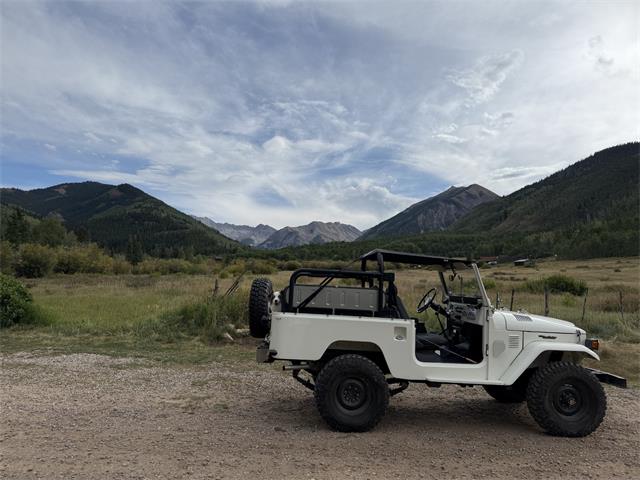 1982 Toyota Land Cruiser FJ43 (CC-2122007) for sale in Houston, Texas