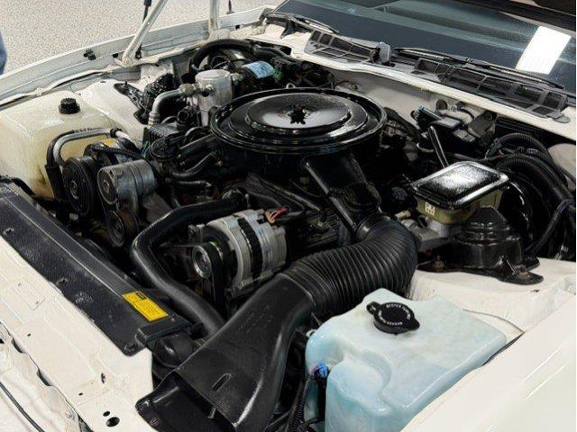 1989 Pontiac Firebird (CC-2122010) for sale in Brooksfield, Wisconsin
