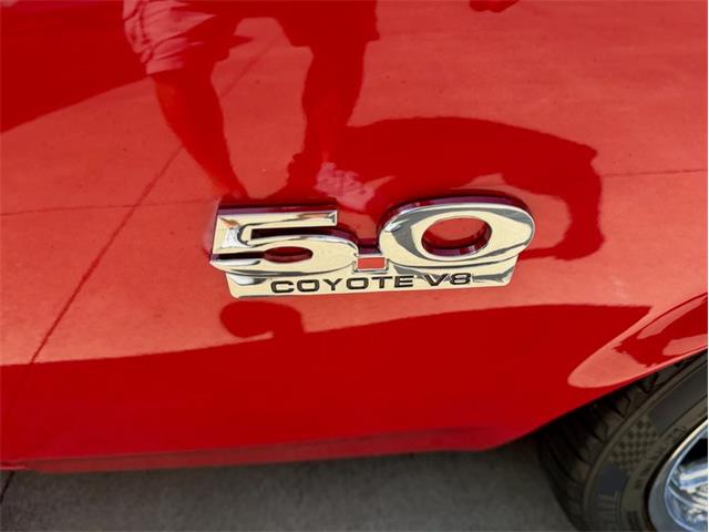 1969 Ford Mustang (CC-2122091) for sale in Greensboro, North Carolina