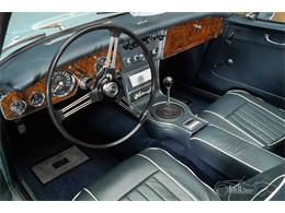 1965 Austin-Healey 3000 Mark III (CC-2122175) for sale in Waalwijk, Noord Brabant