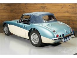 1965 Austin-Healey 3000 Mark III (CC-2122175) for sale in Waalwijk, Noord Brabant