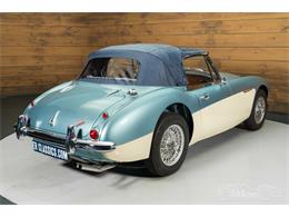 1965 Austin-Healey 3000 Mark III (CC-2122175) for sale in Waalwijk, Noord Brabant