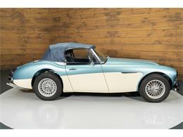 1965 Austin-Healey 3000 Mark III (CC-2122175) for sale in Waalwijk, Noord Brabant