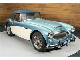 1965 Austin-Healey 3000 Mark III (CC-2122175) for sale in Waalwijk, Noord Brabant