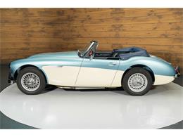 1965 Austin-Healey 3000 Mark III (CC-2122175) for sale in Waalwijk, Noord Brabant