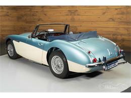1965 Austin-Healey 3000 Mark III (CC-2122175) for sale in Waalwijk, Noord Brabant
