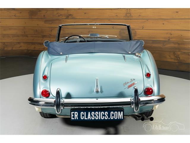 1965 Austin-Healey 3000 Mark III (CC-2122175) for sale in Waalwijk, Noord Brabant