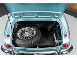 1965 Austin-Healey 3000 Mark III (CC-2122175) for sale in Waalwijk, Noord Brabant