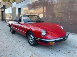 1986 Alfa Romeo Spider (CC-2122178) for sale in Astoria, New York