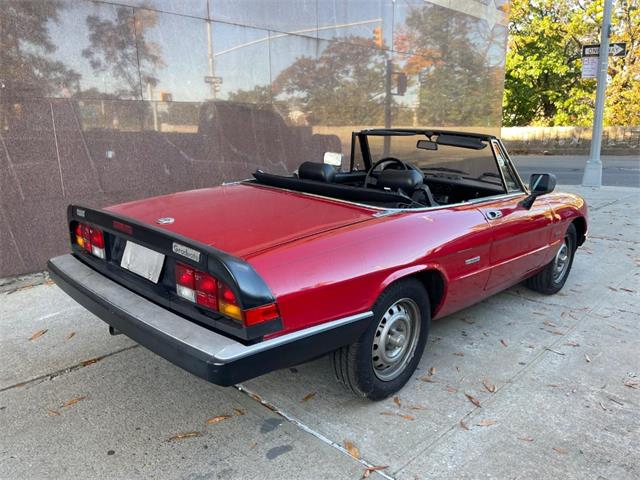 1986 Alfa Romeo Spider (CC-2122178) for sale in Astoria, New York