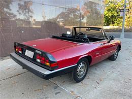 1986 Alfa Romeo Spider (CC-2122178) for sale in Astoria, New York