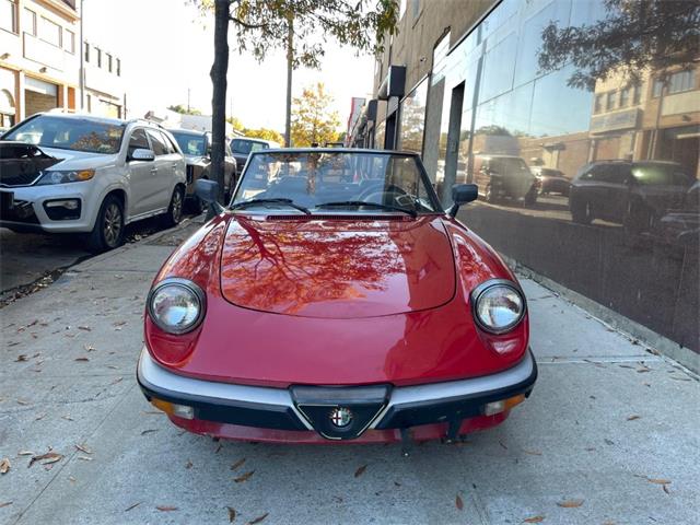 1986 Alfa Romeo Spider (CC-2122178) for sale in Astoria, New York
