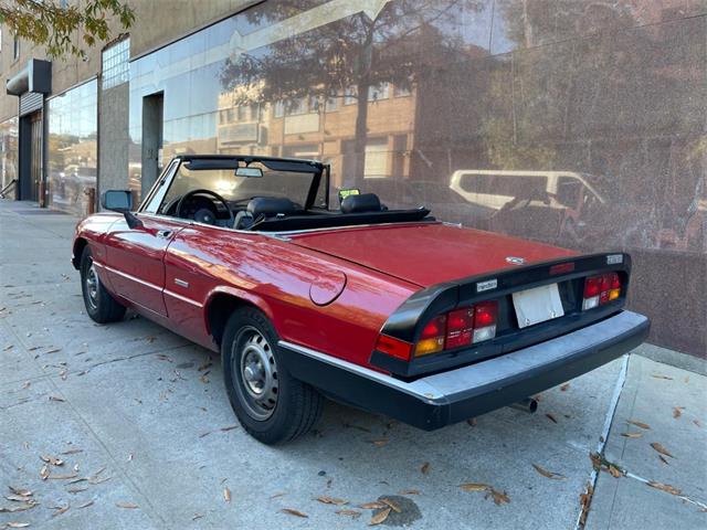 1986 Alfa Romeo Spider (CC-2122178) for sale in Astoria, New York