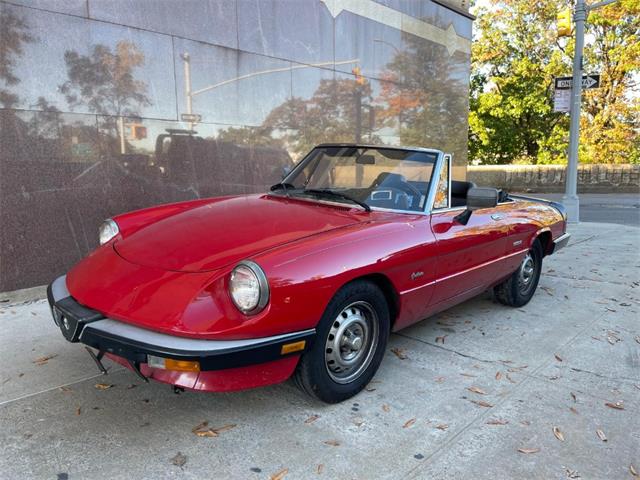 1986 Alfa Romeo Spider (CC-2122178) for sale in Astoria, New York