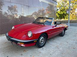 1986 Alfa Romeo Spider (CC-2122178) for sale in Astoria, New York