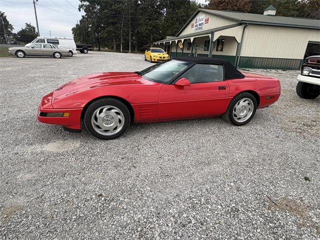 1994 Chevrolet Corvette (CC-2122210) for sale in Nashville, Illinois