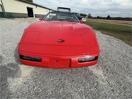 1994 Chevrolet Corvette (CC-2122210) for sale in Nashville, Illinois
