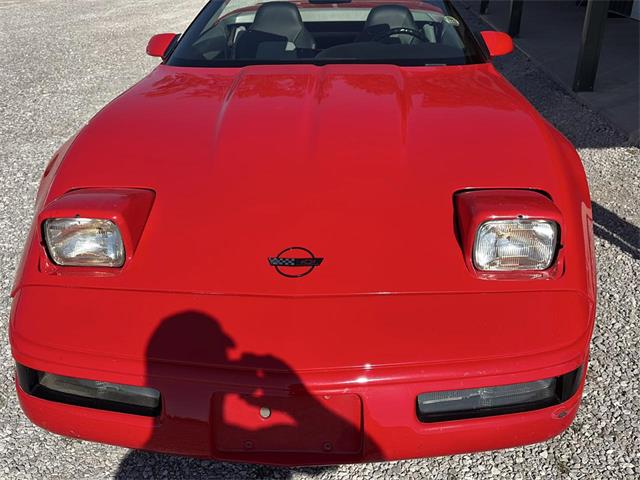 1994 Chevrolet Corvette (CC-2122210) for sale in Nashville, Illinois