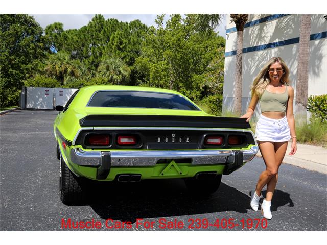 1973 Dodge Challenger (CC-2122226) for sale in Fort Myers, Florida