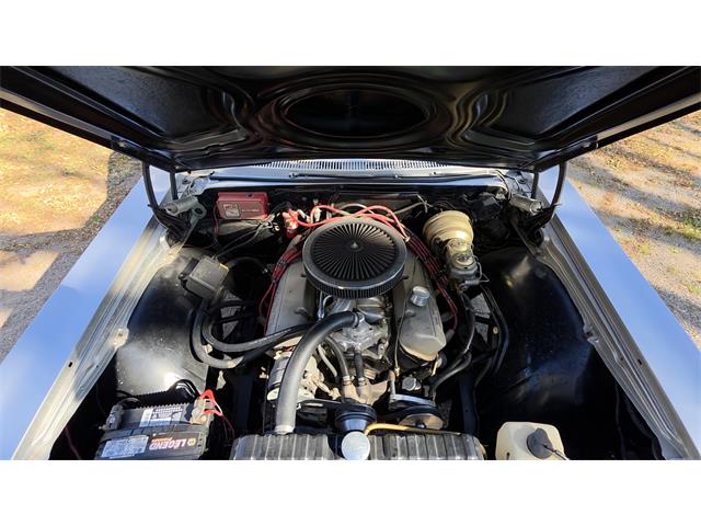 1965 Chevrolet Bel Air Wagon (CC-2122264) for sale in Waconia , Minnesota