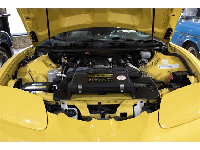 2002 Pontiac Firebird Trans Am WS6 (CC-2122279) for sale in Plainwell, Michigan