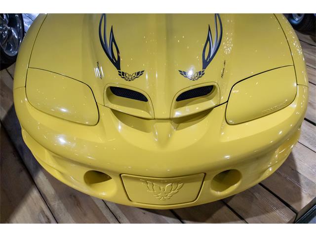 2002 Pontiac Firebird Trans Am WS6 (CC-2122279) for sale in Plainwell, Michigan