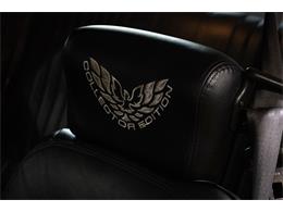 2002 Pontiac Firebird Trans Am WS6 (CC-2122279) for sale in Plainwell, Michigan