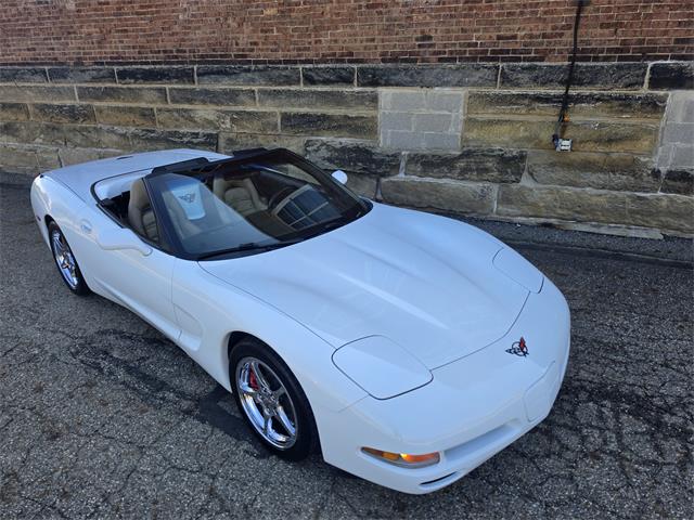 1999 Chevrolet Corvette (CC-2122286) for sale in Canton, Ohio
