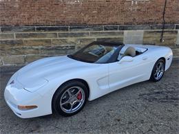 1999 Chevrolet Corvette (CC-2122286) for sale in Canton, Ohio