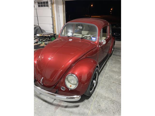 1965 Volkswagen Beetle (CC-2122295) for sale in Bennington , Nebraska