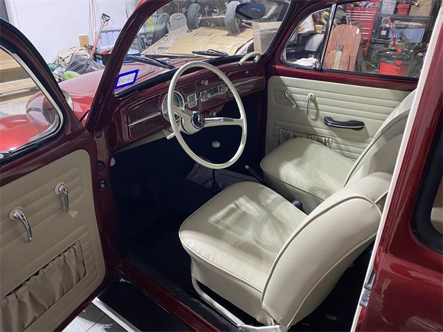 1965 Volkswagen Beetle (CC-2122295) for sale in Bennington , Nebraska