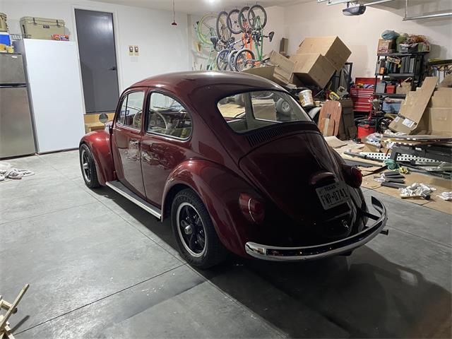 1965 Volkswagen Beetle (CC-2122295) for sale in Bennington , Nebraska