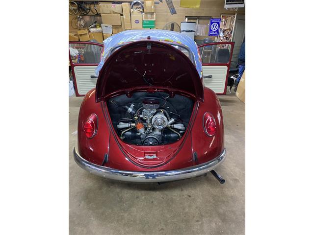 1965 Volkswagen Beetle (CC-2122295) for sale in Bennington , Nebraska