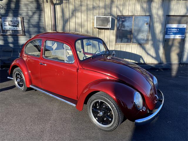 1965 Volkswagen Beetle (CC-2122295) for sale in Bennington , Nebraska