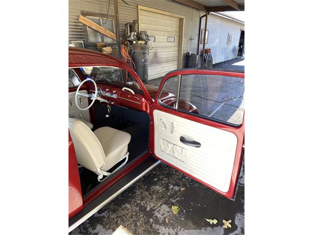 1965 Volkswagen Beetle (CC-2122295) for sale in Bennington , Nebraska