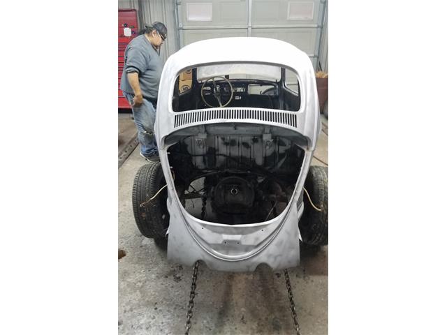 1965 Volkswagen Beetle (CC-2122295) for sale in Bennington , Nebraska