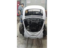 1965 Volkswagen Beetle (CC-2122295) for sale in Bennington , Nebraska