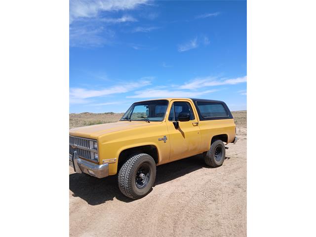1982 Chevrolet K5 Blazer (CC-2122296) for sale in Lamar, Colorado