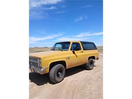 1982 Chevrolet K5 Blazer (CC-2122296) for sale in Lamar, Colorado