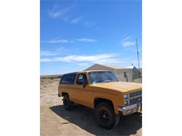 1982 Chevrolet K5 Blazer (CC-2122296) for sale in Lamar, Colorado