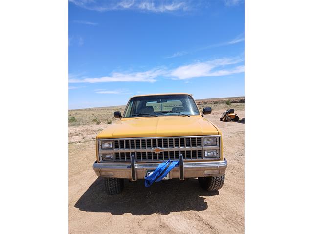 1982 Chevrolet K5 Blazer (CC-2122296) for sale in Lamar, Colorado