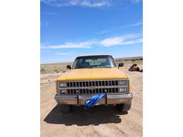 1982 Chevrolet K5 Blazer (CC-2122296) for sale in Lamar, Colorado