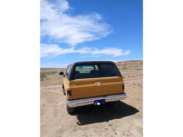 1982 Chevrolet K5 Blazer (CC-2122296) for sale in Lamar, Colorado