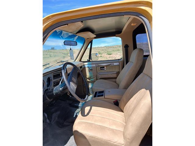 1982 Chevrolet K5 Blazer (CC-2122296) for sale in Lamar, Colorado