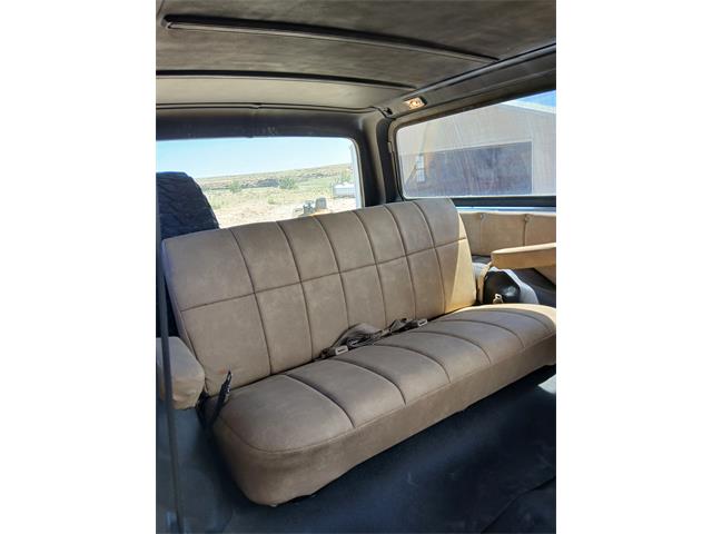 1982 Chevrolet K5 Blazer (CC-2122296) for sale in Lamar, Colorado