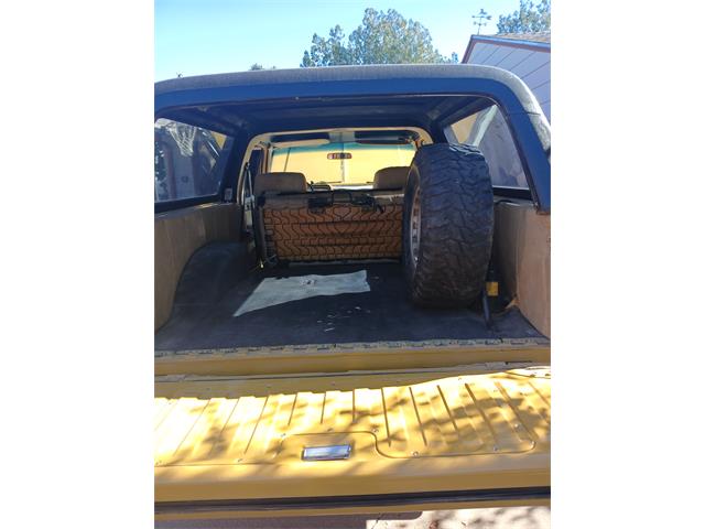 1982 Chevrolet K5 Blazer (CC-2122296) for sale in Lamar, Colorado