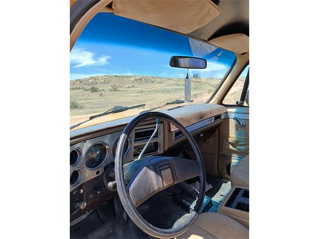 1982 Chevrolet K5 Blazer (CC-2122296) for sale in Lamar, Colorado