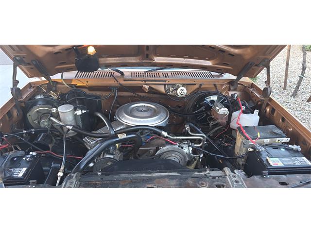 1981 Ford 1/2 Ton Pickup (CC-2122298) for sale in Peoria, Arizona