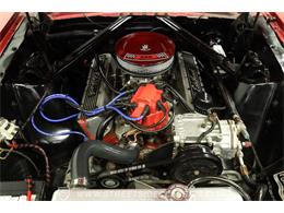 1966 Ford Mustang (CC-2122382) for sale in Lutz, Florida